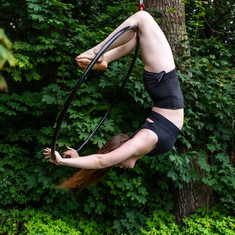 Aerial Hoop